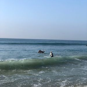 Meet your Posher, Lexi